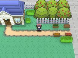 Image for Pokemon Yard Scene #1